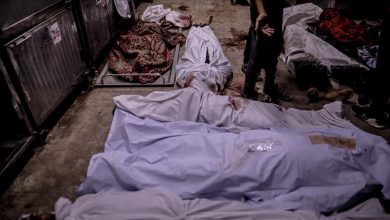 Photo of قتلهم الاحتلال.. صحة غزة تنشر أسماء 60 ألفا و199 فلسطينيا