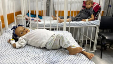 Photo of “غيلان باريه”.. مرض نادر يتفشّى في غزة ويهدد حياة الأطفال (شاهد)