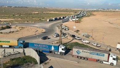 Photo of الأمم المتحدة تدعو لدخول مئات الشاحنات الإنسانية والتجارية لغزة يوميا (شاهد)