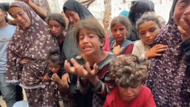Photo of الاحتلال يهاجم مدينة غزة واستشهاد 110 أطفال مجوّعين