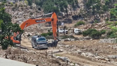 Photo of زيتون جنين في مواجهة الجرافات الإسرائيلية ومخطط ابتلاع الأرض