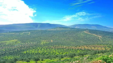 Photo of الطقس: أجواء صيفية مع تغيّرات طفيفة على درجات الحرارة