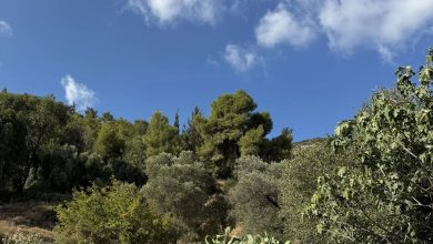 Photo of حالة الطقس: أجواء حارة نسبيا