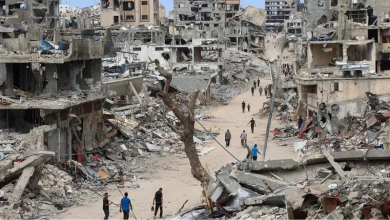 Photo of القط البريطاني لاري ينتقد الجرائم الإسرائيلية في غزة وينشر صورة لآثار الدمار