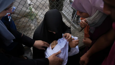 Photo of هآرتس: بيانات إسرائيل تؤكد مصداقية أعداد الضحايا الموثقة في غزة