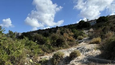 Photo of حالة الطقس: أجواء حارة