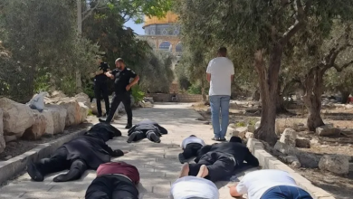 Photo of مئات المستوطنين يقتحمون الأقصى وحائط البراق (شاهد)