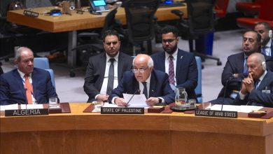 Photo of دعوات عربية بمجلس الأمن لوقف “فوري” لحرب الإبادة في غزة