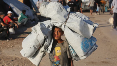 Photo of عشرات الشهداء و900 ألف ما زالوا صامدين بمدينة غزة