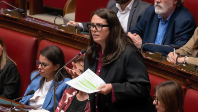 Photo of نواب يحتلون قاعة البرلمان الإيطالي للمطالبة بمحاسبة إسرائيل (شاهد)