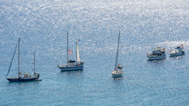 Photo of أسطول الصمود يدعو إلى المشاركة في مواكبة سفنه إلى غزة