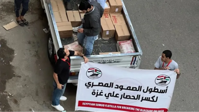 Photo of مصر: سلطات الانقلاب تعتقل ثلاثة من أعضاء اللجنة التحضيرية لـ”أسطول الصمود” (شاهد)