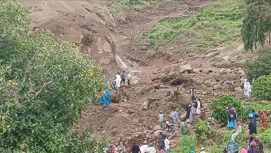 Photo of تعازي وتضامن عربي مع السودان جراء كارثة الانزلاق الأرضي