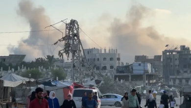 Photo of مفوضة الشؤون الإنسانية الأوروبية: هناك كارثة بغزة وتجويع متعمد يجب وقفهما