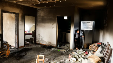 Photo of صحيفة عبرية: البلطجة أصبحت بطاقة الهوية الجديدة لإسرائيل