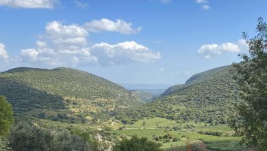 Photo of حالة الطقس: أجواء صيفية حارة نهارا ومعتدلة ليلا