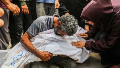 Photo of وفاة 7 أطفال نتيجة الجوع في خانيونس.. وتحذير من نفاذ المواد الطبية داخل المستشفيات