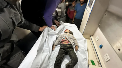 Photo of طبيب إسباني يروي شاهدته على فاجعة موت الأطفال في غزة