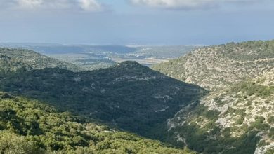 Photo of حالة الطقس: انخفاض في درجات الحرارة