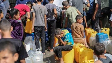 Photo of اليونيسف: “الطفولة لا يمكن أن تبقى على قيد الحياة في مدينة غزة” في ظل استمرار الكارثة الإنسانية