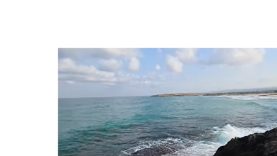 Photo of حالة الطقس: غائم جزئيا إلى صاف