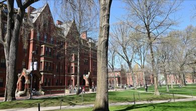 Photo of إثر التضامن مع فلسطين.. ضغوط تدفع هارفارد لتقليص مقاعد الدكتوراه