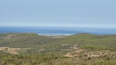 Photo of حالة الطقس: غائم جزئيا إلى صاف