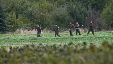 Photo of ناشونال إنترست: الخوف يدب في أوروبا جراء مسيرات يعتقد أنها روسية (فيديو)