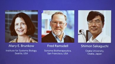 Photo of 3 علماء في “المناعة” يحرزون نوبل في الطب