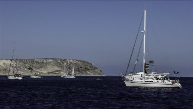 Photo of عمال ميناء إيطالي يجبرون سفينة إسرائيلية على المغادرة دون تحميل