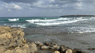 Photo of حالة الطقس: أجواء خريفية معتدلة