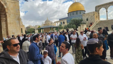 Photo of القدس في عامَي الحرب.. انتهاكات طالت البشر والحجر والشجر