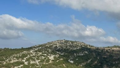 Photo of حالة الطقس: غائم جزئيا إلى صاف