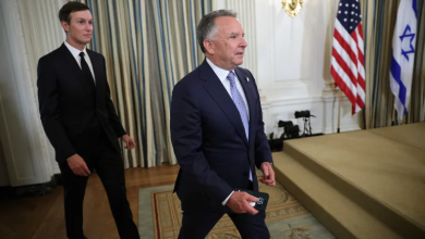 Photo of مبعوثا ترامب يصلان إلى شرم الشيخ للمشاركة بمفاوضات غزة