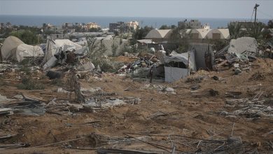 Photo of عامان من الإبادة.. الاحتلال يهلك الزرع بغزة ويبدد سلة غذائها