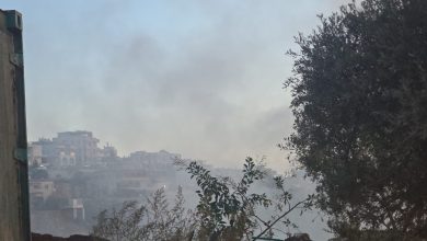 Photo of بلدية أم الفحم: إغلاق مدرسة “المجد” بسبب التلوث