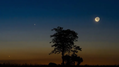 Photo of تراها بعينيك.. القمر يقف إلى جوار 4 كواكب في أكتوبر/تشرين الأول 2025