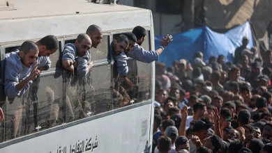 Photo of “السكابيوس” يحرم الأسرى من معانقة ذويهم.. ما الذي نعرفه عن المرض؟ (شاهد)
