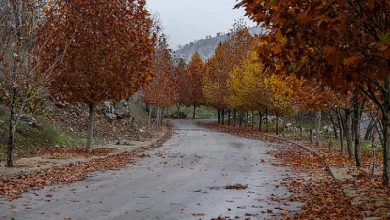 Photo of الطقس: أجواء خريفية معتدلة