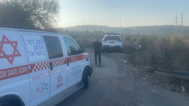 Photo of مقتل شقيقين بجريمة إطلاق نار في إبطن