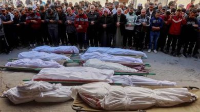 Photo of الحرب على غزة: 65 شهيداً خلال ال24 ساعة الماضية