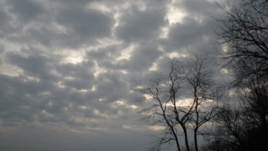 Photo of طقس خريفي معتدل يرافق البلاد وأجواء أقرب للصيف مطلع الأسبوع