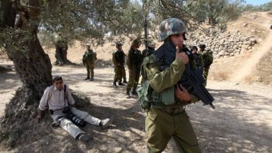 Photo of خسائر بـ156 مليون دولار جراء تدمير الاحتلال أكثر من 700 ألف شجرة زيتون في الضفة منذ 2010