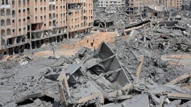 Photo of الأونروا: ارتفاع الأسعار في غزة جراء تدمير إسرائيل الأراضي الزراعية