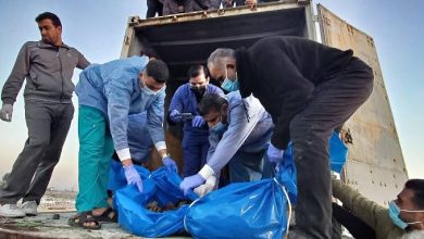 Photo of الصحة في غزة تعلن استلام جثامين 15 شهيدًا يظهر على عدد منها علامات تنكيل
