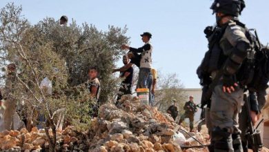 Photo of الجيش الإسرائيلي يطلق الرصاص والغاز على مزارعين أثناء قطف الزيتون شمال رام الله