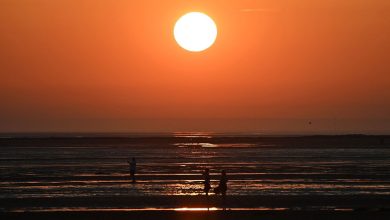 Photo of أجواء حارة نسبيًا تتواصل حتى منتصف الأسبوع وحرارة أعلى من معدلاتها السنوية