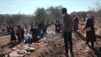 Photo of الضفة.. مستوطنون إسرائيليون يقتلعون ويحطمون مئات الأشجار في قريوت