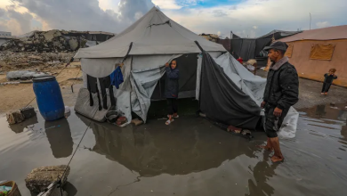 Photo of الأمم المتحدة: 96% من سكان غزة يواجهون مستويات كارثية من انعدام الأمن الغذائي