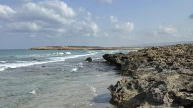 Photo of حالة الطقس: انخفاض طفيف في درجات الحرارة